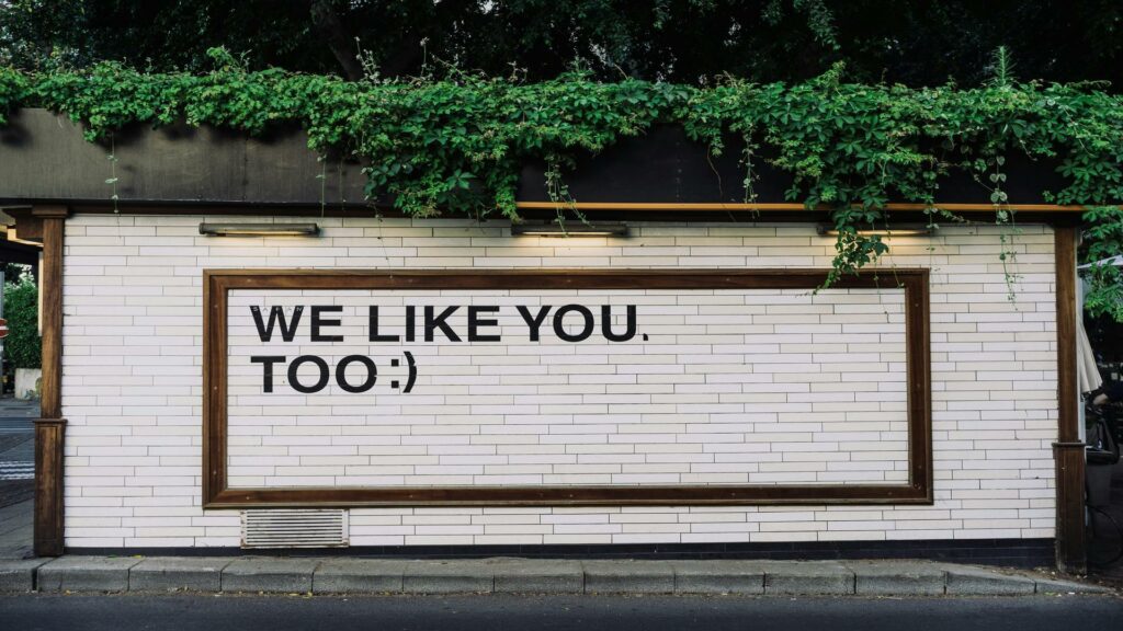 White brick wall with text 'WE LIKE YOU, TOO :)' in black letters, framed by wooden border and green vine decoration