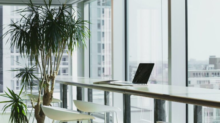 Laptop on a long desk with a plant in a bright office