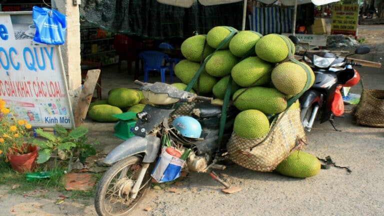 Motorbike carrying jackfruits showcasing creative business marketing strategies in rural areas