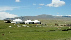 Yurts in a vast green landscape under a clear sky, symbolizing simplicity and adaptability for website performance analysis