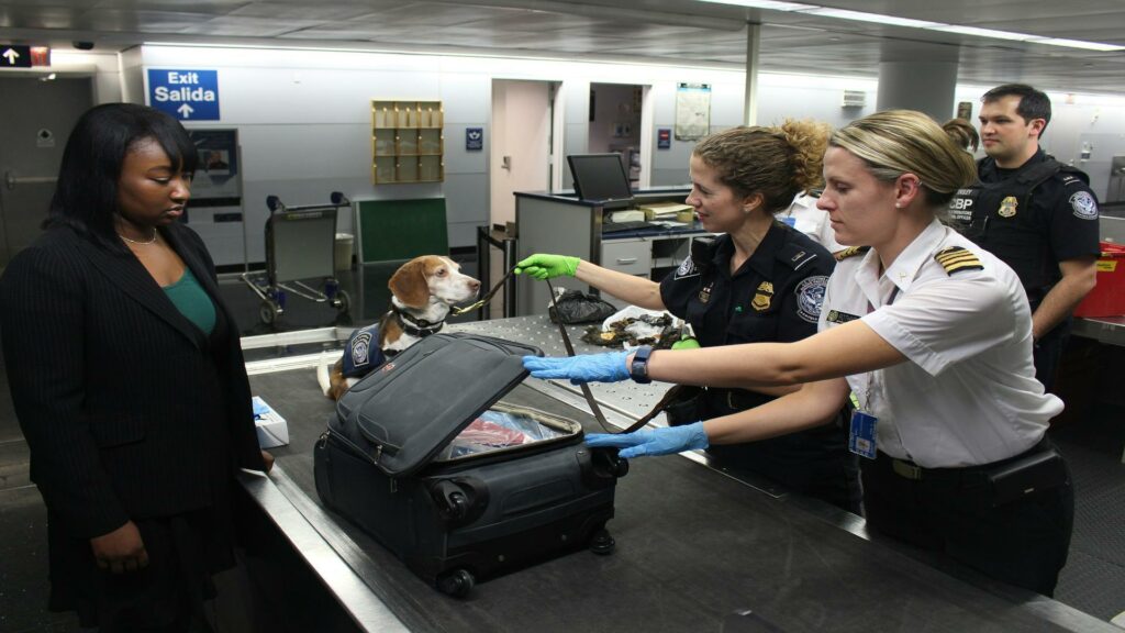 Customs officers conducting luggage inspection with a detection dog for effective SEO tactics