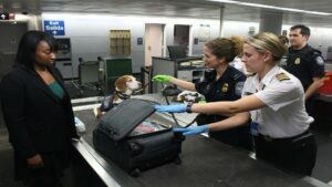 Customs officers conducting luggage inspection with a detection dog for effective SEO tactics