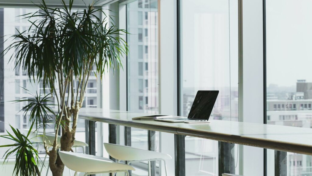 Web Design London - A modern office workspace featuring a laptop, notebook, and indoor plants by large windows.