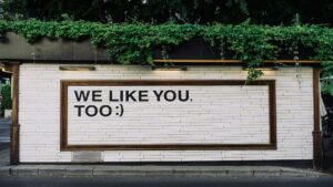 Website redesign tips displayed on white brick wall with text 'WE LIKE YOU, TOO :)' framed in wooden border with overhanging green foliage