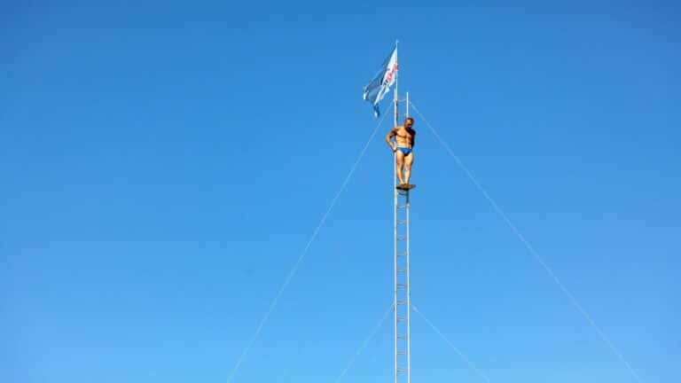 Person standing on top of a tall ladder with a flag against a clear blue sky