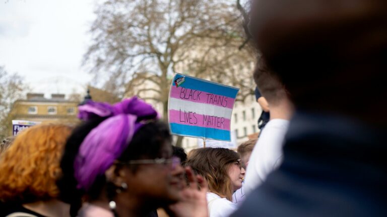 Protesters holding a sign advocating for Black Trans Lives Matter during a rally, emphasizing inclusivity and visibility, related to website usability testing.