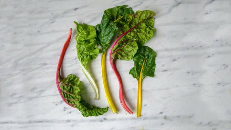 Vibrant Swiss chard leaves on marble surface, Search engine marketing