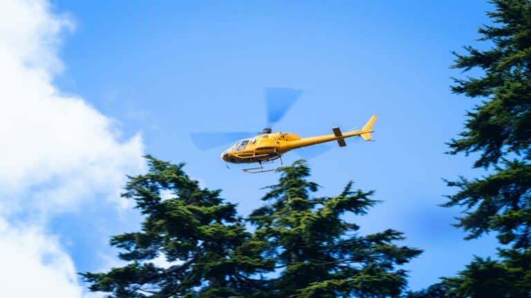 Yellow helicopter flying against blue sky with evergreen trees in foreground