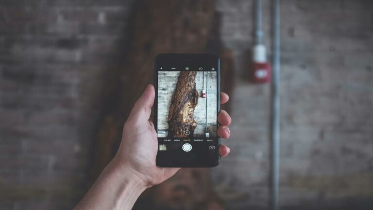 A smartphone capturing a tree trunk, symbolizing creativity in social media optimization