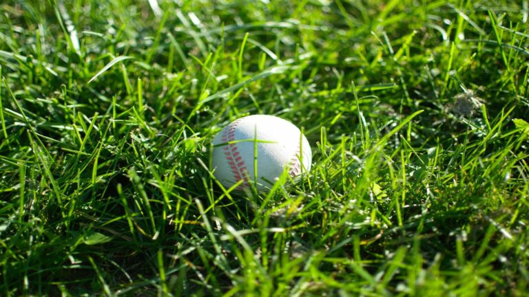 A baseball resting in vibrant green grass, symbolizing effective marketing campaigns