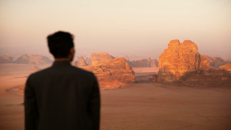 Man overlooking desert rock formations at sunset, representing local SEO techniques for targeting specific regions.