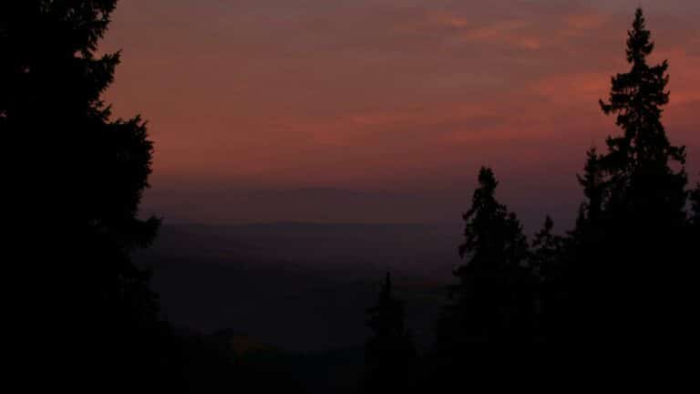 Beautiful sunset over a forested landscape captured by Web Design London, a tree surgery and forestry training provider in London - long-tail keyword usage.