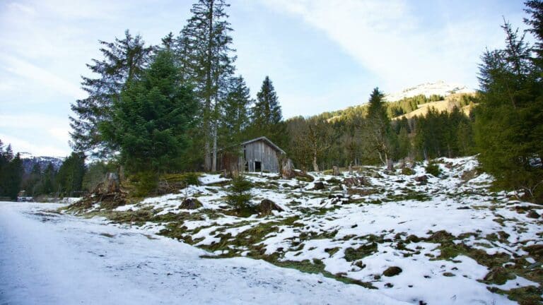 Snow-covered forest landscape with a rustic cabin, symbolizing online business growth through resilience and adaptability.