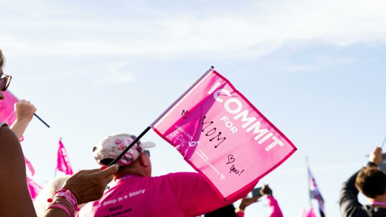 Participants holding pink flags at an event promoting online marketing solutions