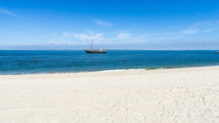 A serene beach view with a boat on the horizon, symbolizing search engine marketing strategies.