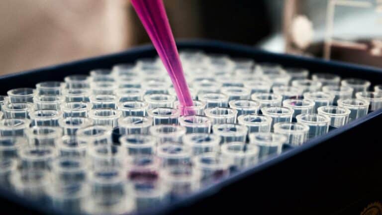 Pipette dispensing pink liquid in laboratory tubes representing social media strategy