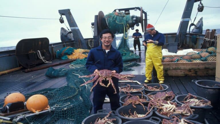 Fishing crew managing king crabs on a boat deck for social media strategy