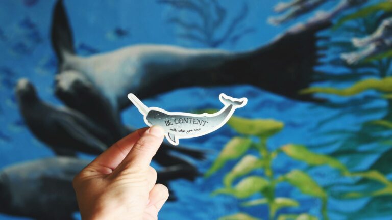 Hand holding a narwhal sticker with the text 'Be Content with who you are' against a vibrant underwater mural, showcasing website design trends.