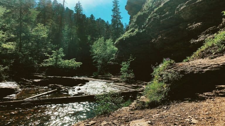 Serene forest stream surrounded by rocky cliffs and greenery, symbolizing improved site usability